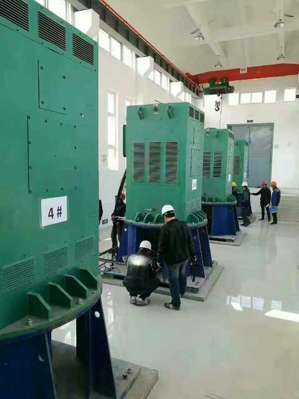 甘谷某污水处理厂使用我厂的立式高压电机安装现场