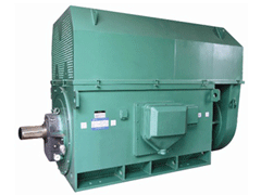 甘谷Y系列6KV高压电机